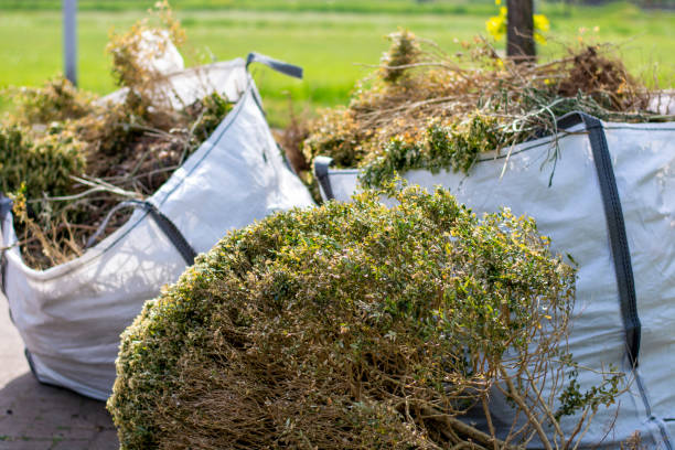 Best Junk Hauling Services  in Eastman, GA
